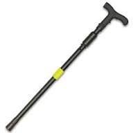 Stun Cane